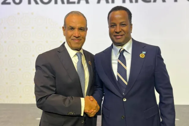 وزير الخارجية المصري خلال لقائه نظيره الصومالي الاثنين الماضي (الخارجية المصرية)