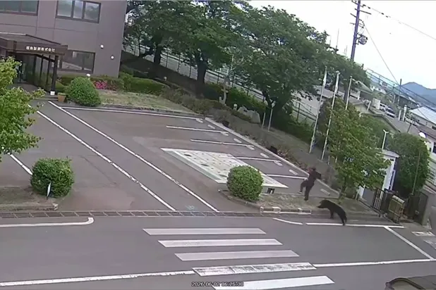 This image made from the security camera footage provided by the Fukushima Steel Works, shows a bear, right, chasing a person, second right, on its premises in Fukushima, Japan, Tuesday, June 2, 2026. (FUKUSHIMA STEEL WORKS  via AP)