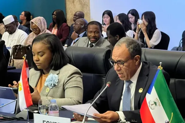 Mısır Dışişleri Bakanı Bedr Abdulati, bu ayın başlarında Kore-Afrika Zirvesi'ne katılımı sırasında (Mısır Dışişleri Bakanlığı)