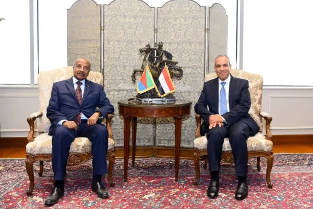 القاهرة تُطالب بتفعيل «مجلس البحر الأحمر» سريعاً لحفظ الأمن 