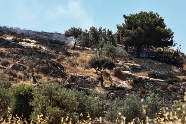 Smoke rises after Israeli settlers reportedly set fire to agricultural fields surrounding the village of Taybeh, in the Israeli-occupied West Bank on June 10, 2026. (AFP)