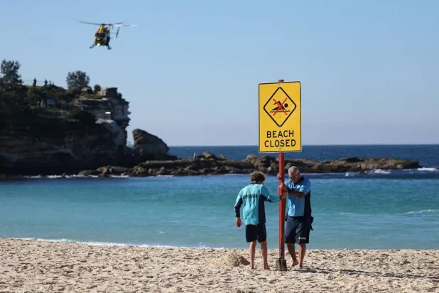 Lifeguards erect a sign that says "Beach Closed" following a shark attack at Coogee Beach in Sydney, Australia, June 13, 2026. (Reuters)