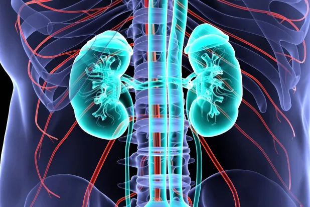 أمراض الكلى يمكن أن تتسبب في مضاعفات خطيرة (مايو كلينك)