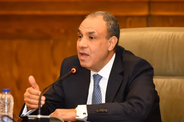 وزير الخارجية المصري بدر عبد العاطي («الخارجية» المصرية)