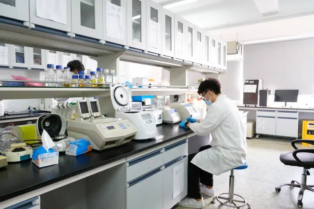 الفريق استخدم روبوتات دقيقة لاستهداف سرطان المثانة (جامعة أدنبره)
