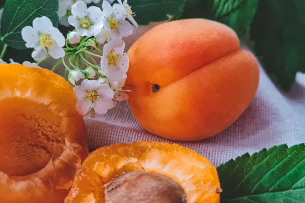 المشمش يُعد مصدراً غنياً بمضادات الأكسدة (بيكسلز)