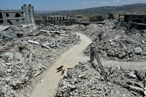 Stray dogs walk past the rubble of flattened homes and businesses, destroyed by the Israeli military, in the southern Lebanese village of Tibnin on June 24, 2026. (AFP)