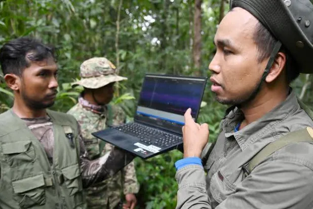 Hidden microphones, cameras and artificial intelligence to reveal the secrets of species living deep in Cambodia's Cardamom Mountains. TANG CHHIN Sothy / AFP
