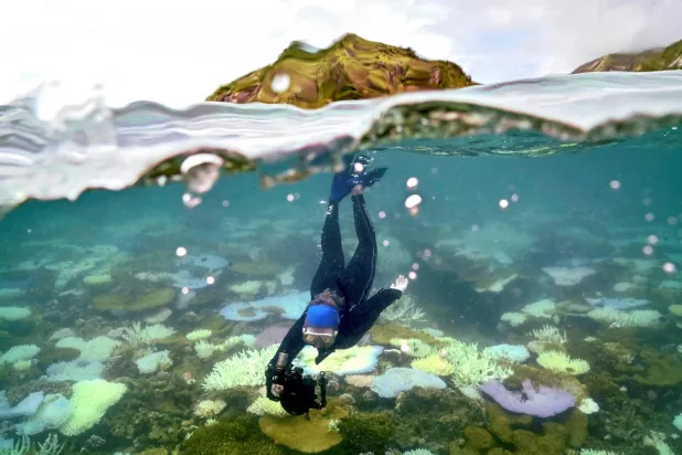 (FILES) In this underwater photo taken on April 5, 2024, marine biologist Anne Hoggett snorkels to inspect and record bleached and dead coral around Lizard Island on the Great Barrier Reef, located 270 kilometres (167 miles) north of the city of Cairns. (Photo by DAVID GRAY / AFP)