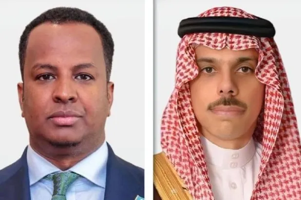 الأمير فيصل بن فرحان وزير الخارجية السعودي ونظيره الصومالي عبد السلام عبدي علي (الشرق الأوسط)