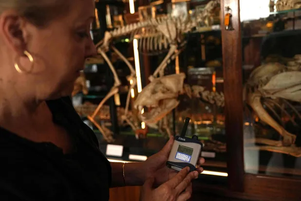 Tannis Davidson, Head of Zoology and Science collections at the Grant Museum of Zoology in London, holds a device displaying the temperature inside the display cases in the museum, in central London on June 26, 2026. (Photo by CARLOS JASSO / AFP)