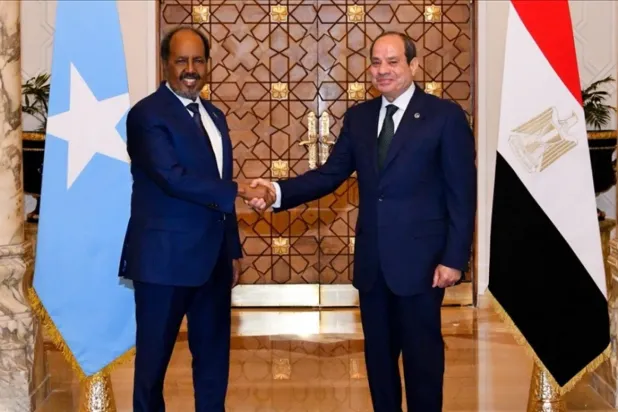 الرئيس المصري مع نظيره الصومالي خلال لقاء سابق في القاهرة (الرئاسة المصرية)