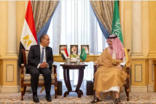 لقاء سابق بين وزير الخارجية السعودي ونظيره المصري في الرياض (واس)