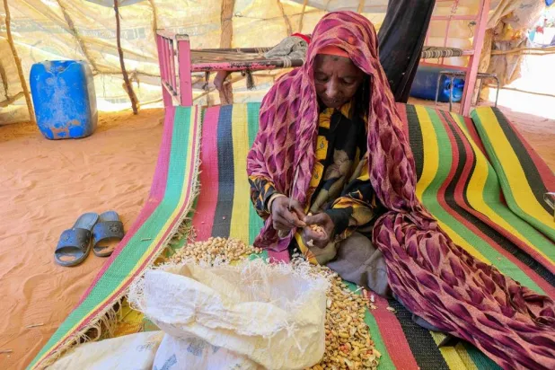 A Sudanese woman peels beans inside a shelter in the al-Rahmaniya camp for displaced people near the city of al-Obeid in the southern Kordofan region on July 9, 2026. (AFP)