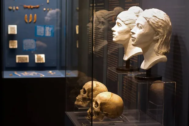 Roman-era skulls and their facial reconstructions are on display at the Aquincum Museum's exhibition titled "Once we were like you" which showcases characters and the fictional life stories of those who once lived in the bustling Roman settlement of Aquincum, in Budapest, Hungary, Tuesday, July 7, 2026. (AP) 