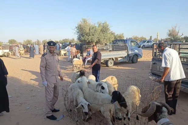 سوق لبيع المواشي والأغنام في الزاوية (الشرطة الزراعية)