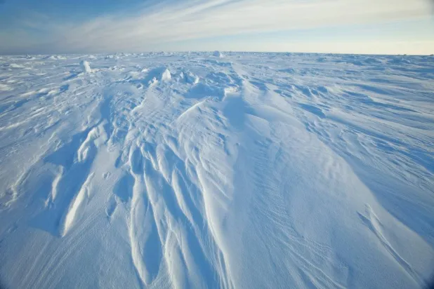 Wind patterns are left in the ice pack that covers the Arctic Ocean north of Prudhoe Bay, Alaska March 18, 2011. (Reuters)