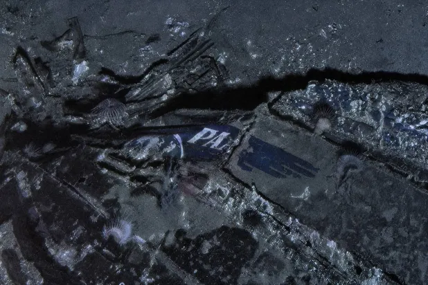 This undated composite image provided by Air/Sea Heritage Foundation and Deep Sea Vision on Tuesday, July 21, 2026, shows a Pan American World Airways logo on the nose section of the Clipper Endeavor wreck. (Air/Sea Heritage Foundation and Deep Sea Vision via AP) 
