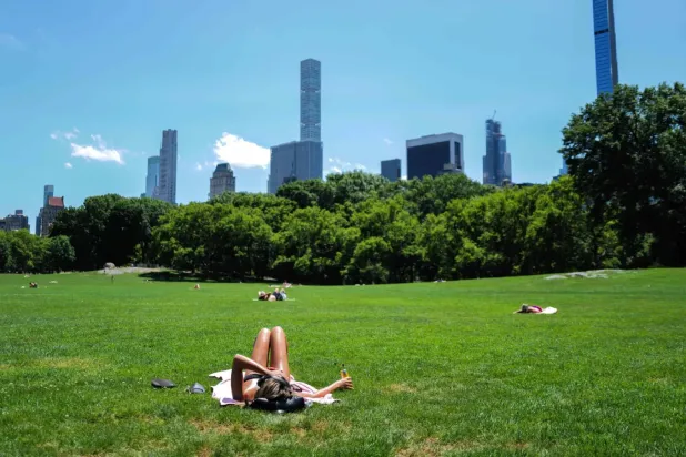  New York'un Manhattan semtindeki Central Park'ta güneşlenen insanlar (AFP)