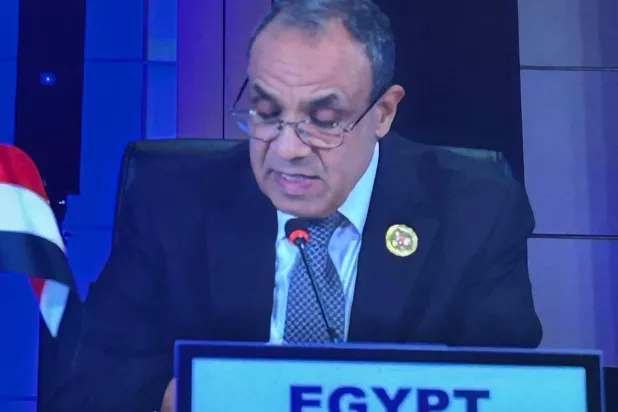 وزير الخارجية المصري خلال مشاركته في مؤتمر رابطة دول جنوب شرقي آسيا (الخارجية المصرية)