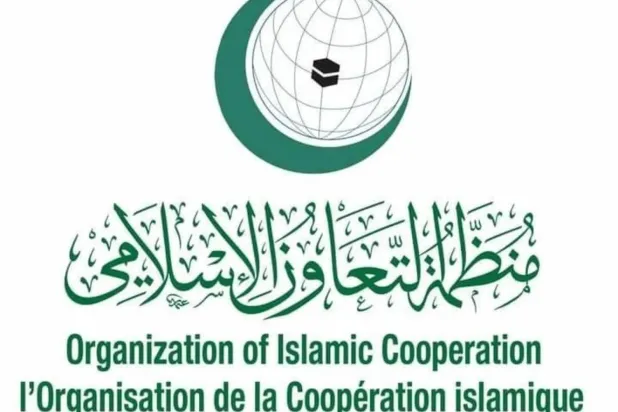 OIC Condemns Iran-Backed Militia Attacks from Iraqi Territory on Saudi Arabia
