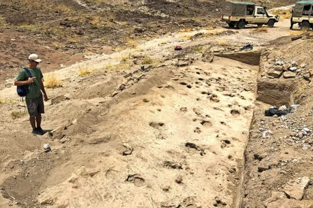 Researcher Kevin Hatala surveys fossilized footprints in sediments along the edge of an ancient lake thought to have been made by the hominin species Paranthropus boisei as well as hippos and other animals near Lake Turkana in northern Kenya, dated to around 1.43 million years ago, in this undated photograph released on July 27, 2026. Kay Behrensmeyer/Smithsonian/Handout via REUTERS