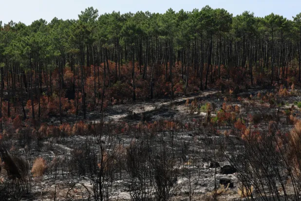 French Wildfire Near Bordeaux Contained as 1,500 Firefighters Battle Separate Blaze in Provence