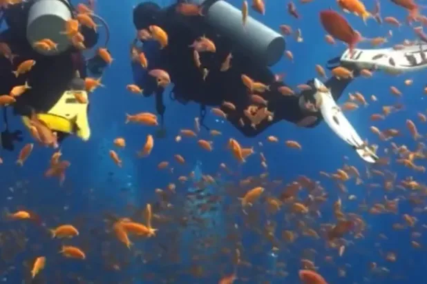 Egypt seeks to model ecotourism in Nabq reserve