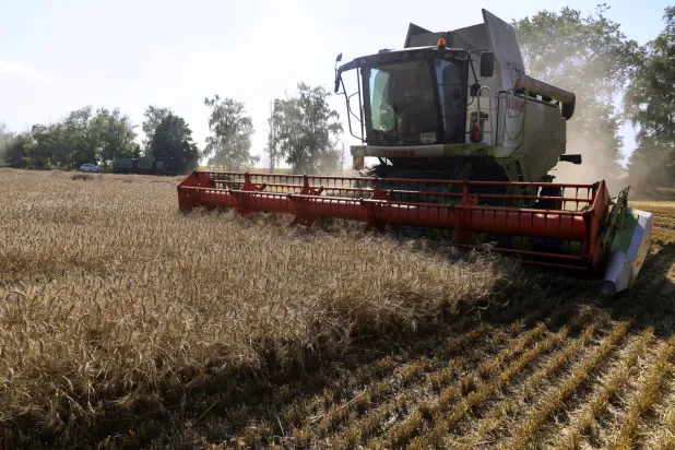 Combine harvesters work on a field in the Kharkiv area, Ukraine, 03 August 2026, amid the ongoing Russian invasion. (EPA)
