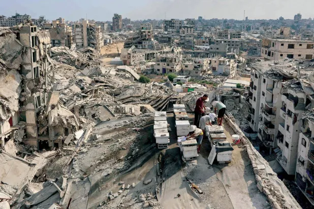  فلسطيني يعتني بخلايا النحل مع أبنائه على سطح مبنى مدمر في حي تل الهوا بمدينة غزة أمس (أ.ف.ب)