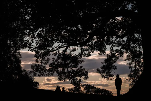 Tourists stand underneath trees atop of Observatory Hill at sunset in Sydney on August 5, 2026. (Photo by DAVID GRAY / AFP)