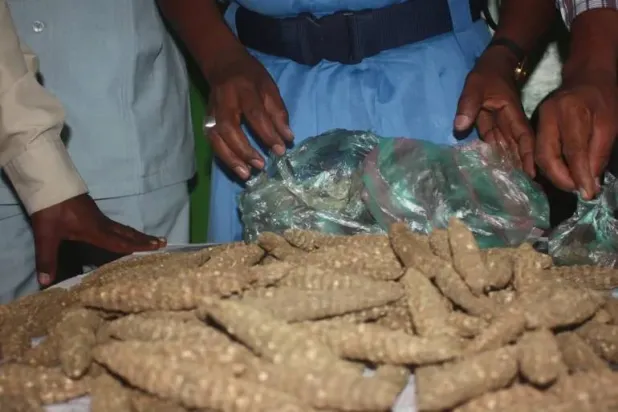 السلطات السودانية تقوم بحملات متواصلة لضبط كميات كبيرة من الخدرات  (الجمارك السودانية)