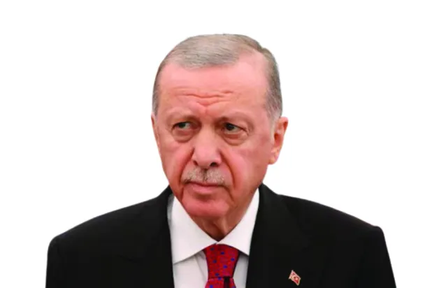 
Erdoğan-  cut out
