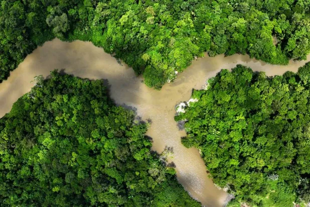 Brazil's Natural Areas Shrink, Worsening El Niño Impact