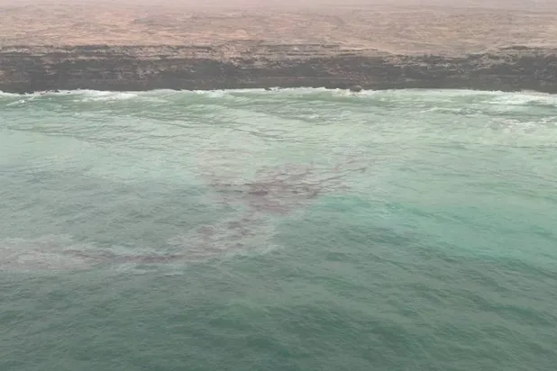 النتائج جاءت نتيجة متابعة تداعيات حادثة السفينة الجانحة بالقرب من جزيرة القبلية الواقعة ضمن أرخبيل جزر الحلانيات (هيئة البيئة العمانية)
