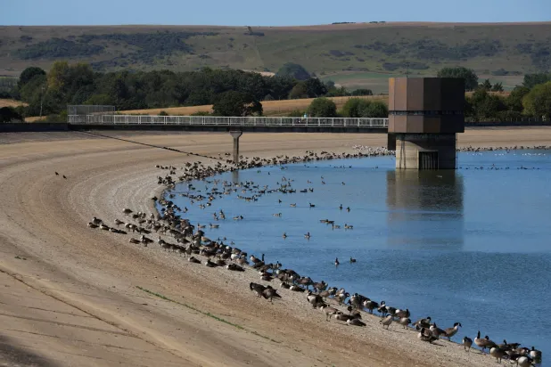 Birds rest along the shore of Arlington Reservoir as water levels recede after Britain’s Environment Agency declared the East Midlands, Lincolnshire, Northamptonshire, Kent, East Sussex, and Solent and South Downs regions in drought during the fifth heatwave of the year, near Hailsham, south‑east Britain, August 12, 2026. (Reuters)