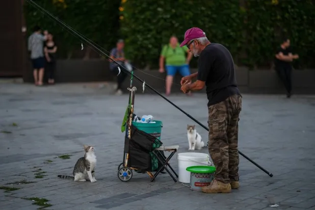  Stray cats wait next to a fisherman at Karakoy sea promenade in Istanbul, Türkiye, Wednesday, June 24, 2026. (AP) 