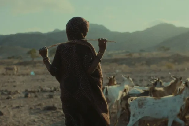 صور الفيلم في وقت قصير بسبب مشكلات التمويل (مهرجان لوكارنو)