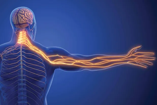 دليلك لمواجهة مشكلة «انضغاط العصب»