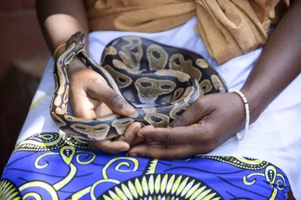 A follower of the Python Temple attends the annual Mask Festival in Porto-Novo, Benin, July 25, 2026. REUTERS/Charles Placide Tossou