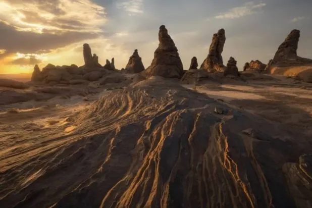 The King Salman Bin Abdulaziz Royal Natural Reserve (SPA).
