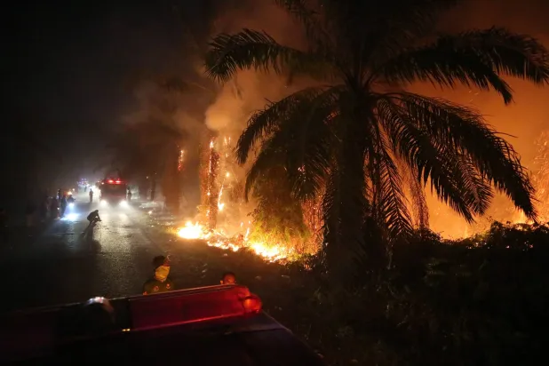 Firetrucks parked near a wildfire burning through a peatland field in Sampit, Central Kalimantan, Indonesia, Monday, Aug. 24, 2026. (AP Photo/Andri Rizky Agustian)