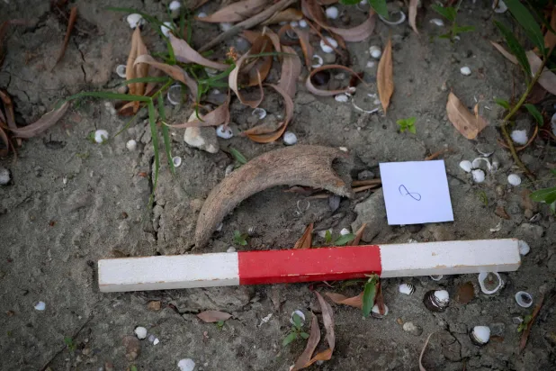 This photograph taken on August 21, 2026, shows unidentified remains found in the dried-out Danube riverbed near the village of Ryahovo, during an organized fossil hunt after a record low water level revealed mammoth bones there at the end of July. (AFP)