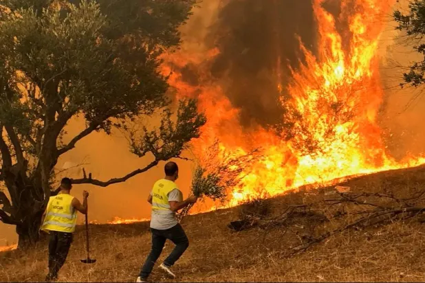 Every summer, northern Algeria is hit by forest fires, a phenomenon exacerbated by drought and climate change. (Reuters file)