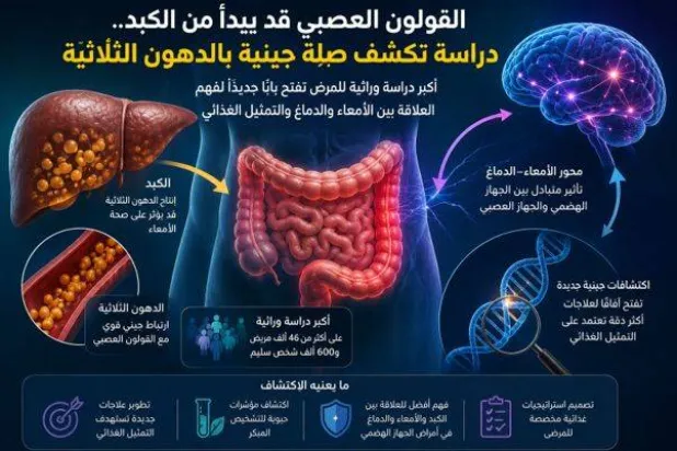 القولون العصبي... قد يبدأ من الكبد