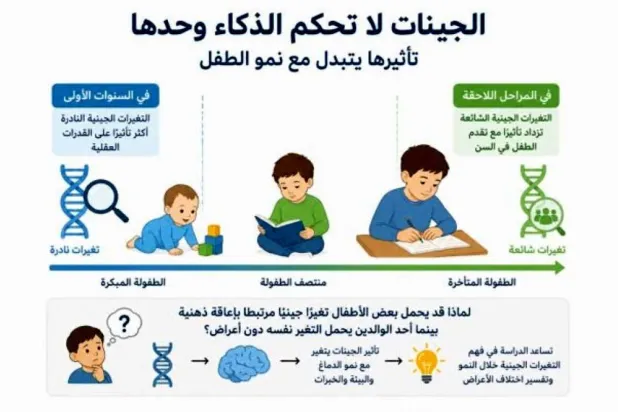 تأثير الجينات في القدرات العقلية يتغير مع نمو الطفل