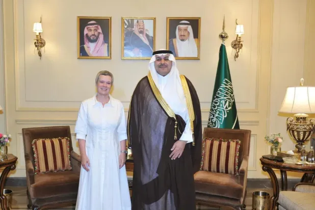 The two sides reviewed various aspects of current political developments - SPA