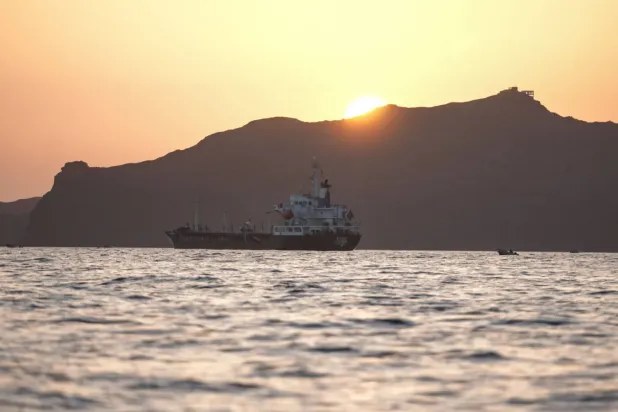 Babülmendeb Boğazı yakınlarında bir ticari gemi (AFP)