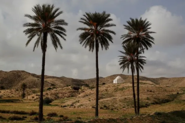 درجات الحرارة المرتفعة في تونس أثرت على إمدادات الكهرباء والمياه الصالحة للشرب (رويترز)