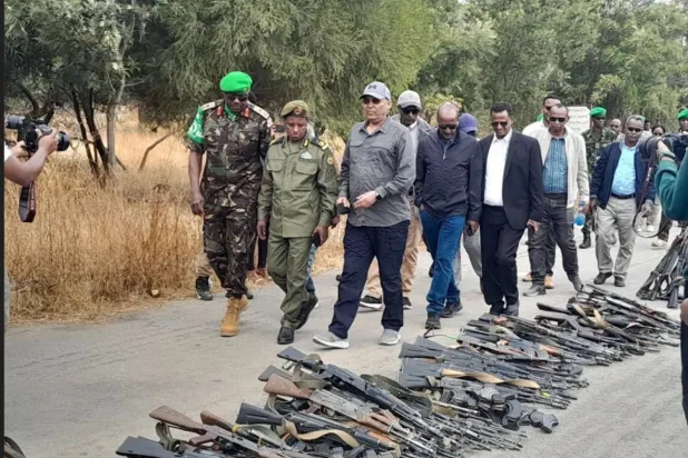 Gunmen in Tigray hand over light weapons to Ethiopian defense forces earlier (Ethiopian News Agency)